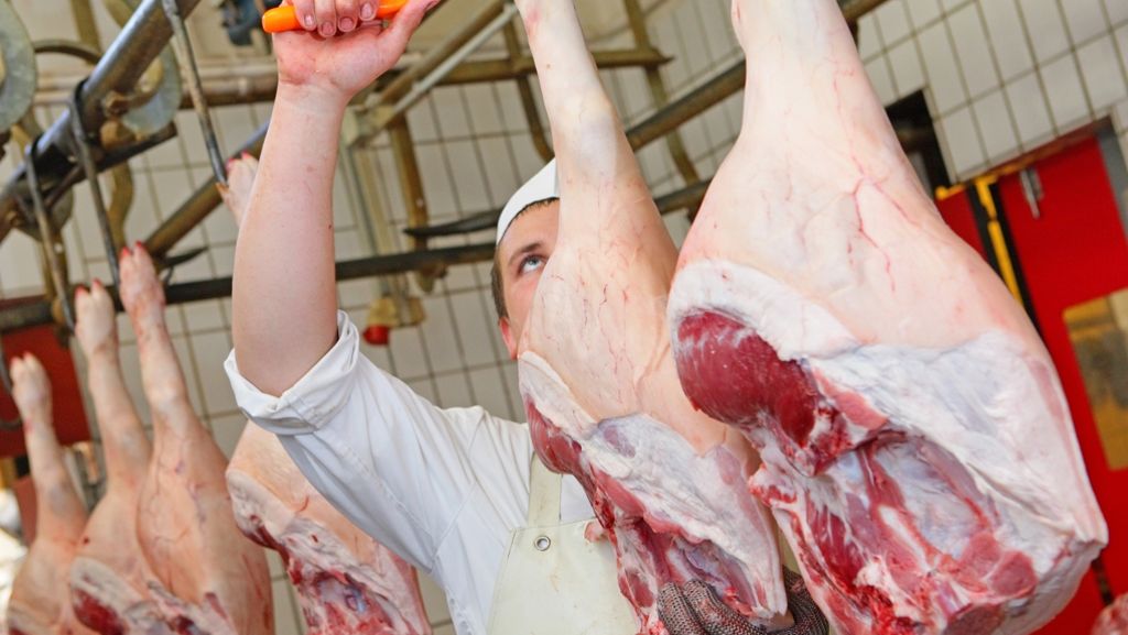Neues Buch „Fleisch essen?“: „Wenn wir ein Tier schlachten, sollten wir es ganz verwerten“