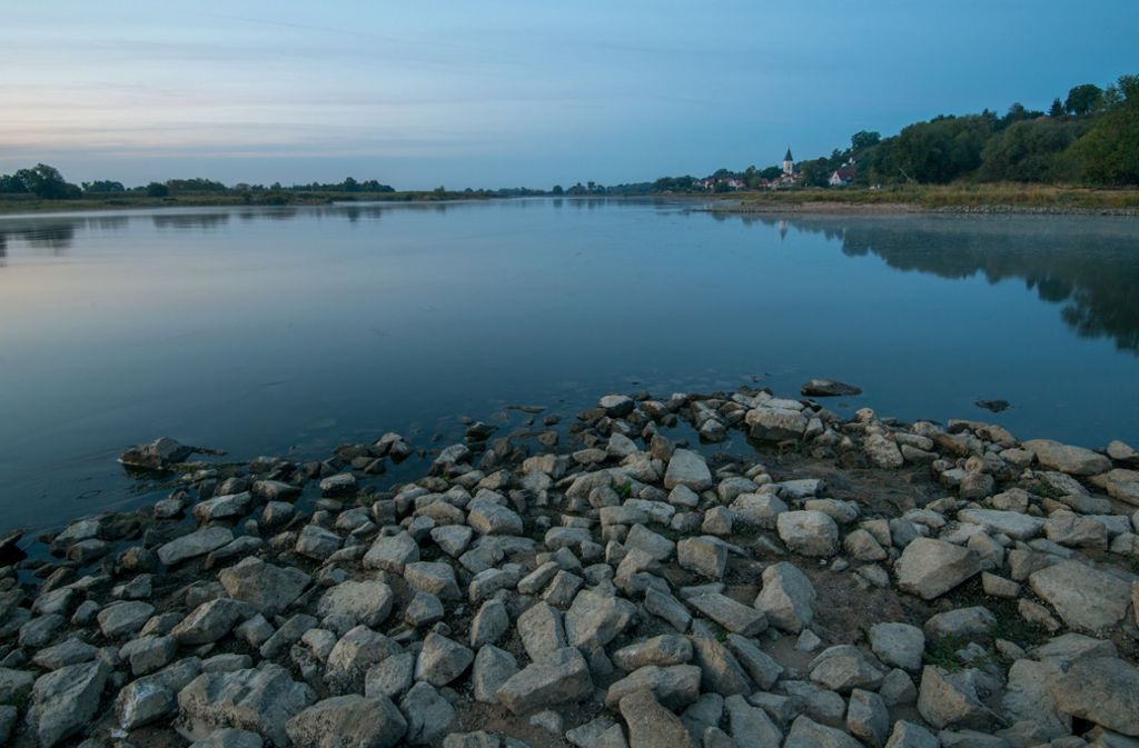Auch aus dem Niedrigwasser des deutsch-polnischen Grenzflusses Oder in Brandenburg ragen Steine.