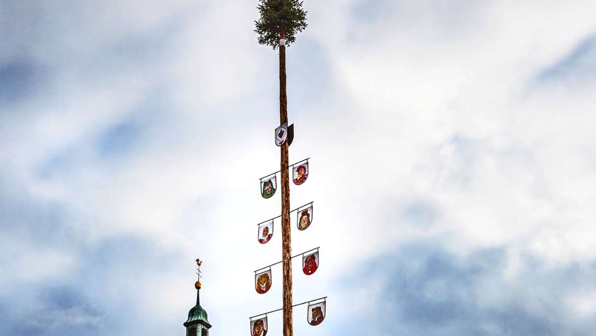  Nach einem Jahr Zwangspause wegen der Pandemie haben die Narren in Neuhausen wieder einen Narrenbaum aufgestellt. Das soll ein Zeichen setzen. 