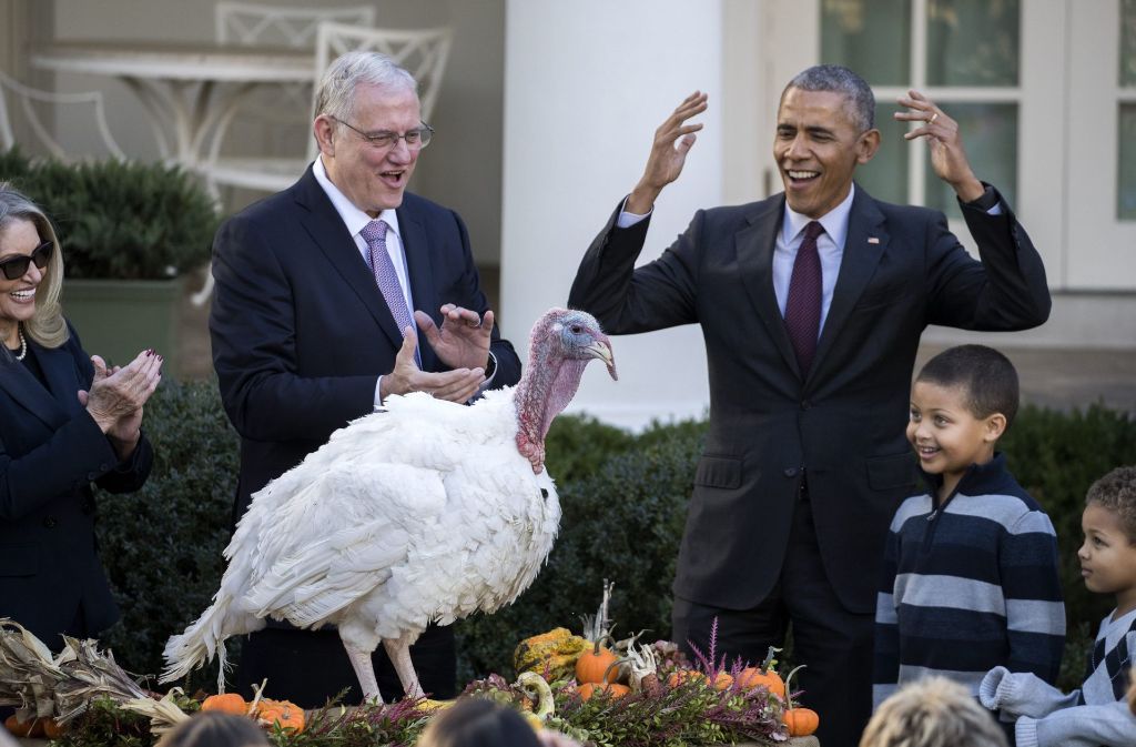 Ein bisschen albern fand Barack Obama das Begnadigen der Truthähne ja schon, doch anlässlich seines letzten Thanksgiving im Amt hat er zwei Truthähnen das Leben gerettet.