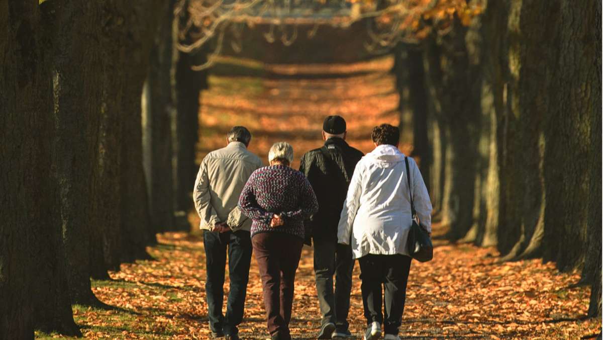Rentenversicherung warnt vor Risiken: Rentenerhöhung fällt 2021 wohl aus