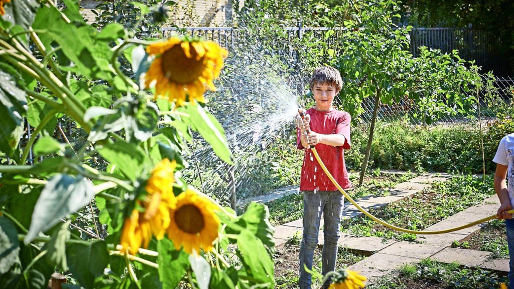 Gärten in Fellbach: Der grüne Daumen sorgt für scharfe Sachen