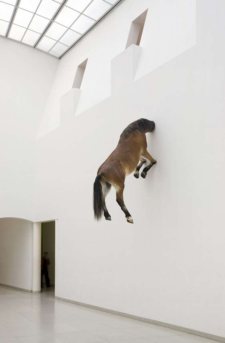 Ausgebremst Ob das Pferd mal schauen wollte, was es nebenan zu sehen gibt? Oder steckt es einfach nur den Kopf in die Wand? Präpariertes Pferd aus dem Jahr 2007 von Maurizio Catellan.