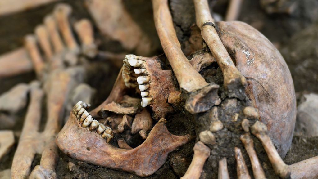 Bei Bauarbeiten in Mainz ist ein Massengrab aus dem 19. Jahrhundert gefunden worden. Die Landesarchäologie bestätigte, dass es sich um über tausend Skelette handelt. 