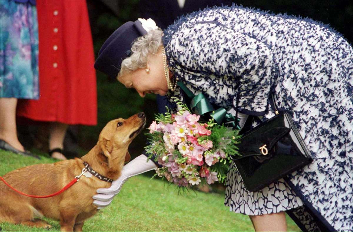 Die Hundeliebe von Queen Elizabeth II. ist praktisch schon sprichwörtlich. Die Hoheit liebte ihre Corgis – inzwischen hat der letzte das Zeitliche gesegnet.