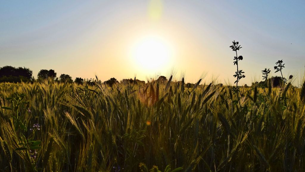 Gesund und nachhaltig in Möhringen: Was ein Bio-Landwirt beachten muss