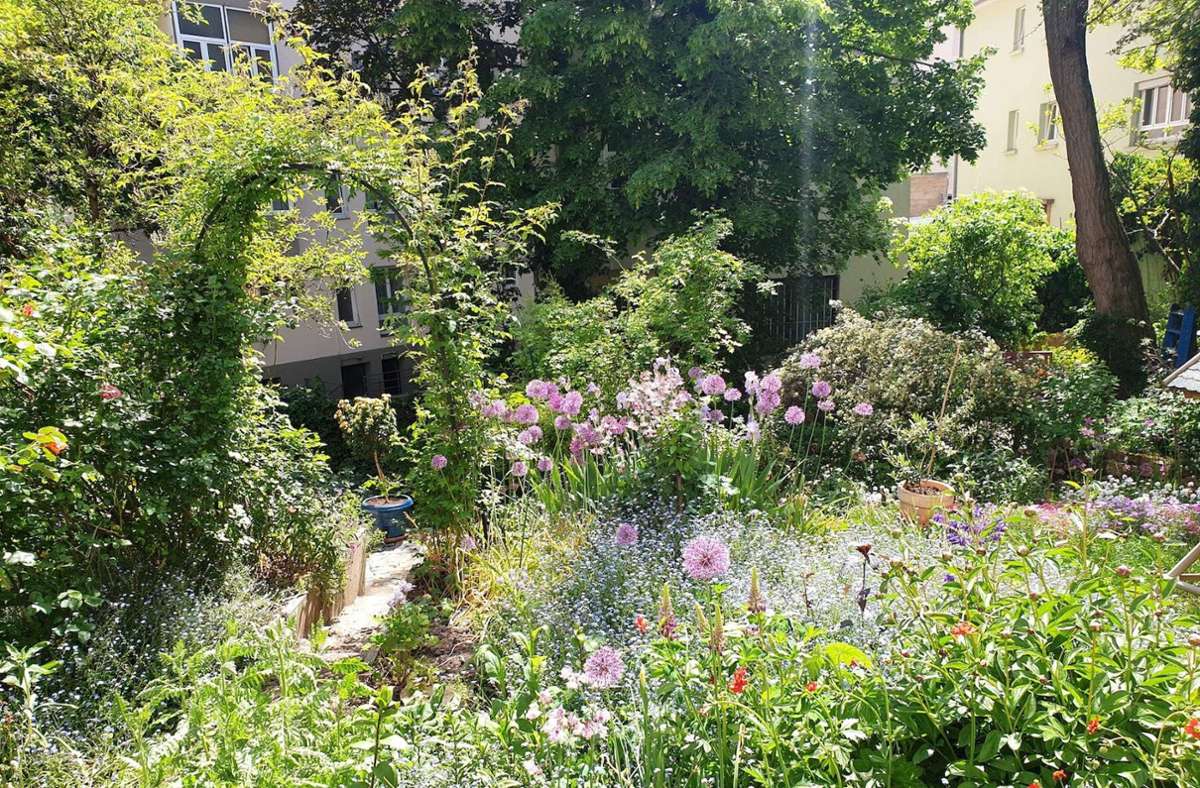 Impressionen aus dem verwunschenen Garten mitten im Stuttgarter Westen