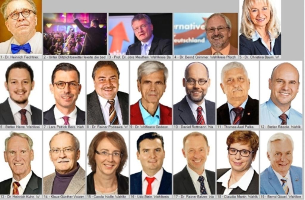 Wer sind die 23 Kandidaten (hier ein Teil von ihnen), die am Wahlsonntag für die Alternative für Deutschland (AfD) in den baden-württembergischen Landtag eingezogen sind? In der Bilderstrecke stellen wir sie je einzeln vor. Foto: dpa