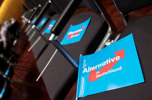 Die AfD beklagt einen  mutmaßlichen Anschlag auf die Bundestagskandidatin Andrea Zürcher.  (Symbolfoto) Foto: dpa/Peter Steffen