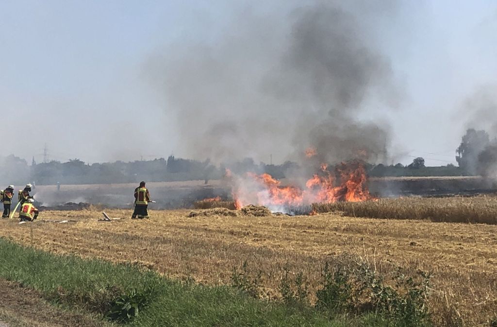 Feuerwehrleute bekämpfen einen Brand auf einem Feld in Löchgau.