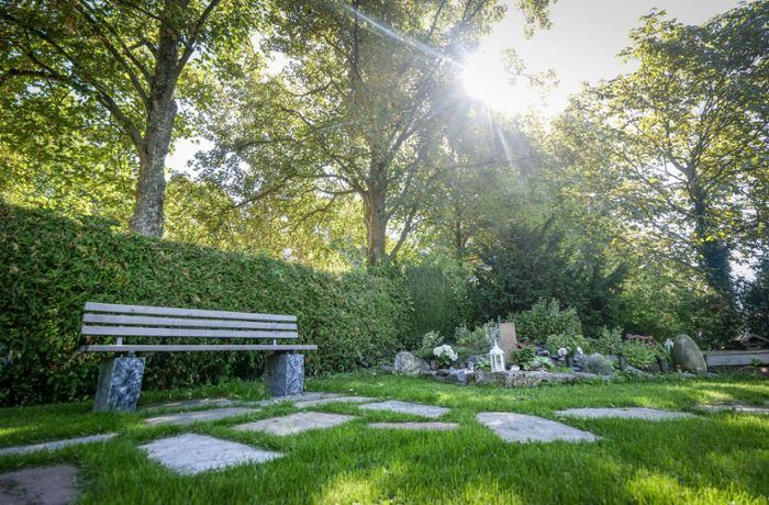 Ditzingen: Der Friedhof wandelt sich zum Park
