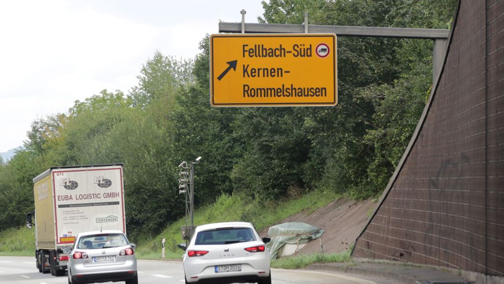 Tatort Fellbach: Verkehrsrowdy  verletzt 100 000-Euro-Pferd
