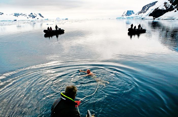 Die Antarktis hautnah erleben