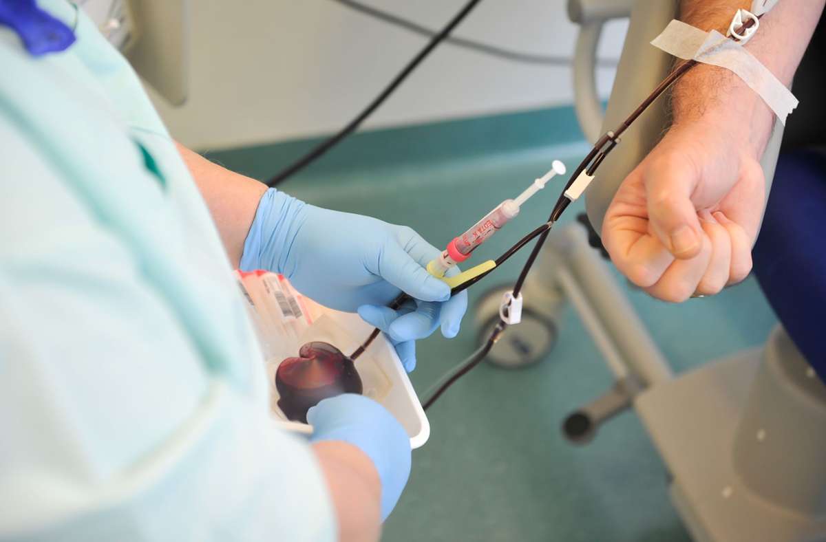 Bevor es losgeht mit der Plasmaspende, wird dem Spender eine Vollblutprobe entnommen. Diese wird für die notwendigen Blutuntersuchungen gebraucht.