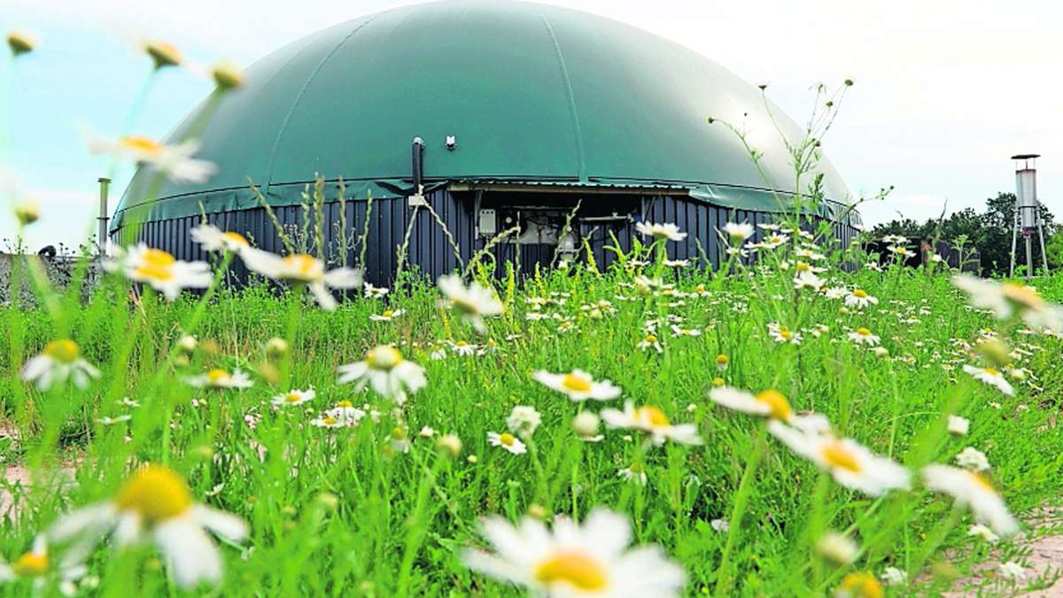 Heizen mit Biogas und Wasserstoff: Eine neue Gasheizung birgt Risiken