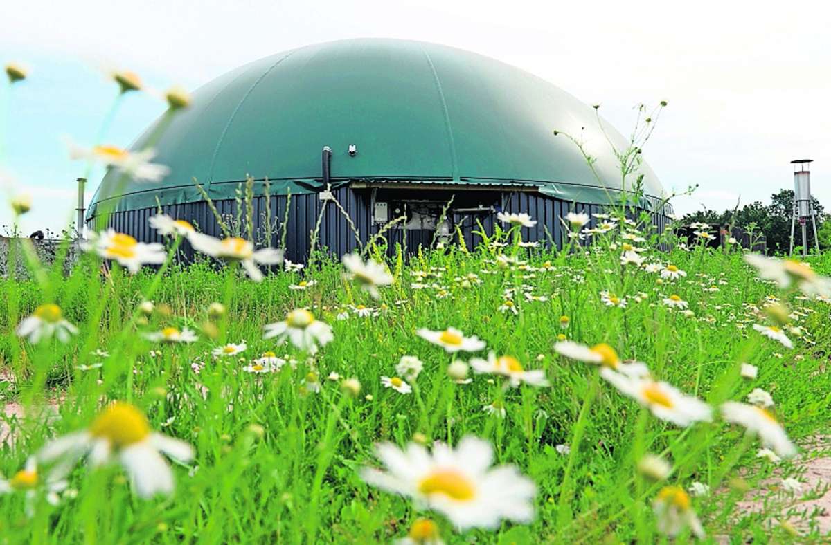 Schon heute wird Biogas wie in dieser Anlage in Brandenburg verstromt. Die Abwärme lässt sich für ein lokales Nahwärmenetz nutzen. Foto: picture alliance /Maurizio Gambarini