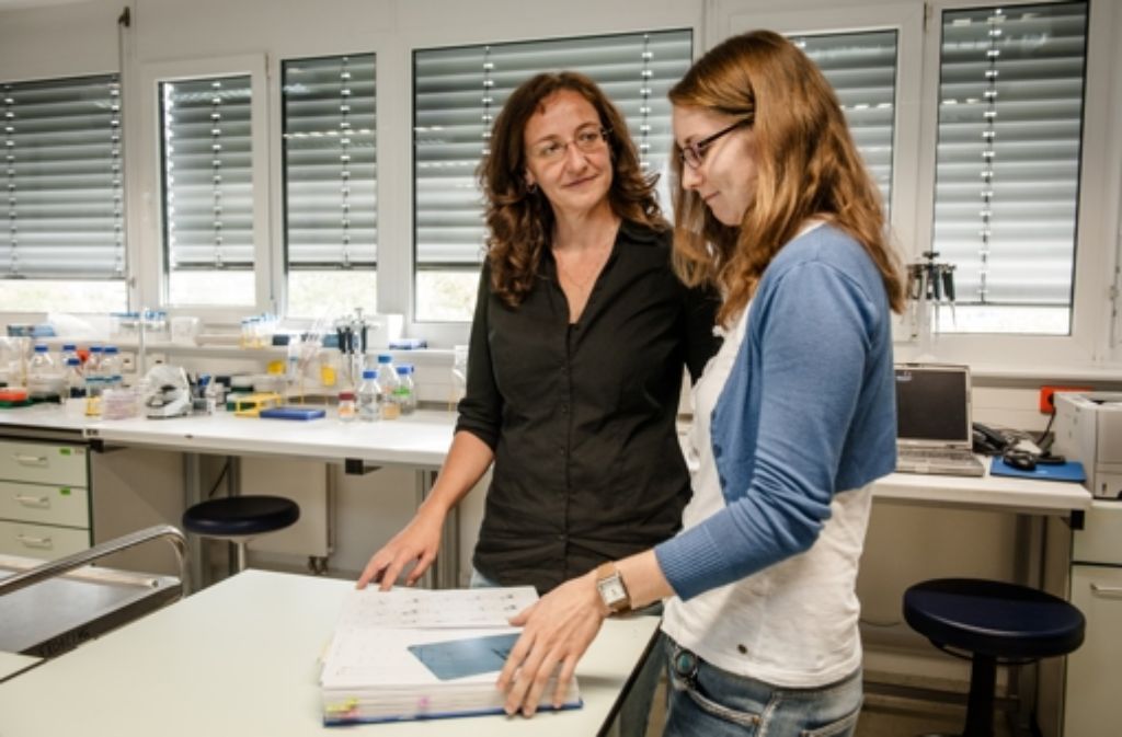 Besprechung im Labor: die Doktorandin Saskia Rudat erläutert Claudia Scholl die neuen Ergebnisse in ihrem Laborbuch.