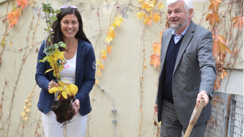 Schulgarten an der Fasanenhofschule: Gärten vermitteln Verständnis für die Natur