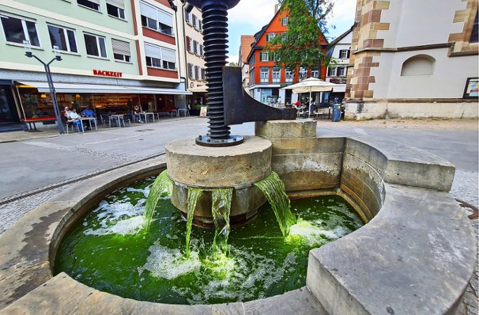 Wasser im Rathaus-Brunnen verfärbt: Aus Cannstatts Weinpresse sprudelt’s grün