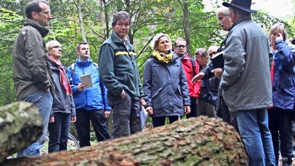Stadtwald in Leinfelden-Echterdingen: Ein Großteil des Holzes wird verheizt