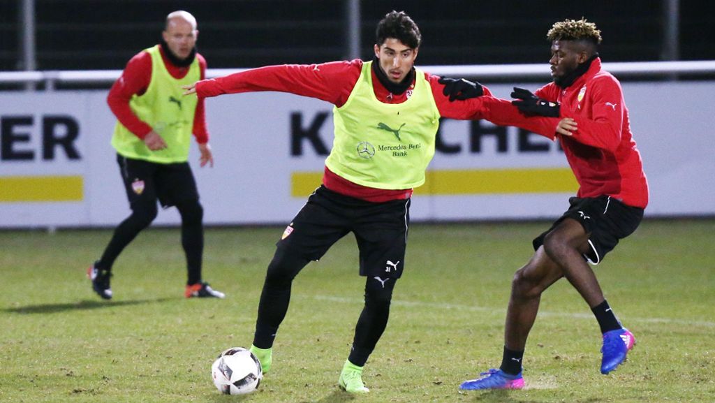 VfB Stuttgart: Werner zurück im Training, zwei Spieler nicht dabei