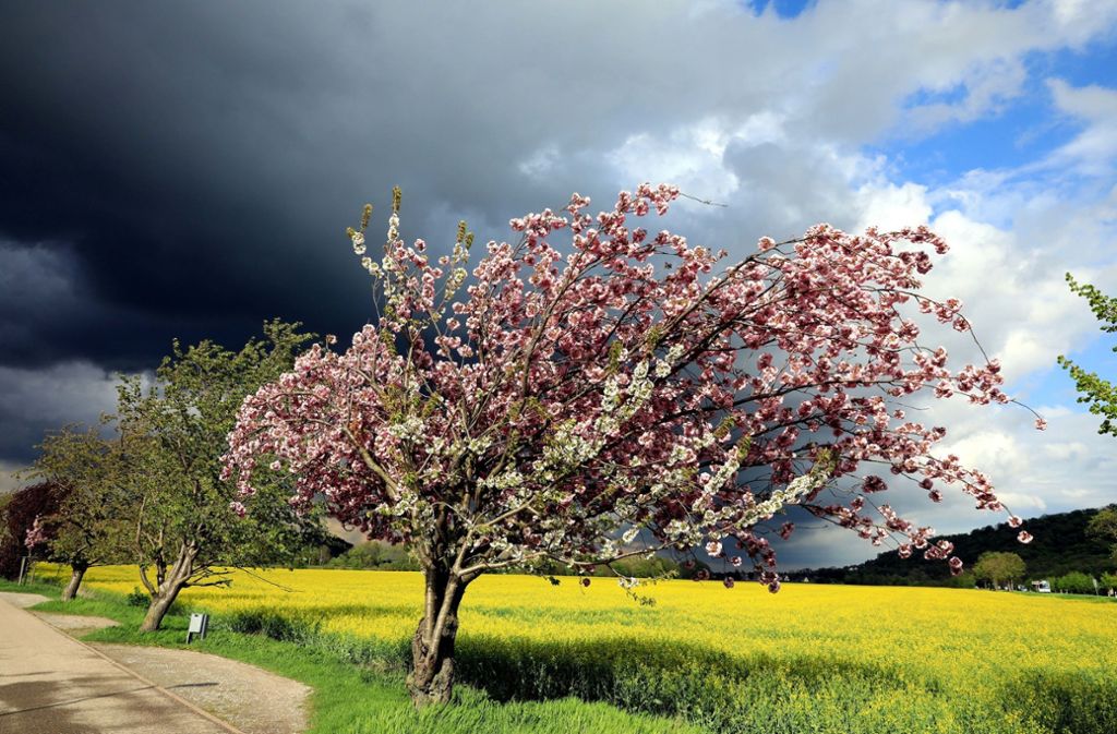Wetter An Pfingsten Von Tag Zu Tag Wird Es Warmer Baden