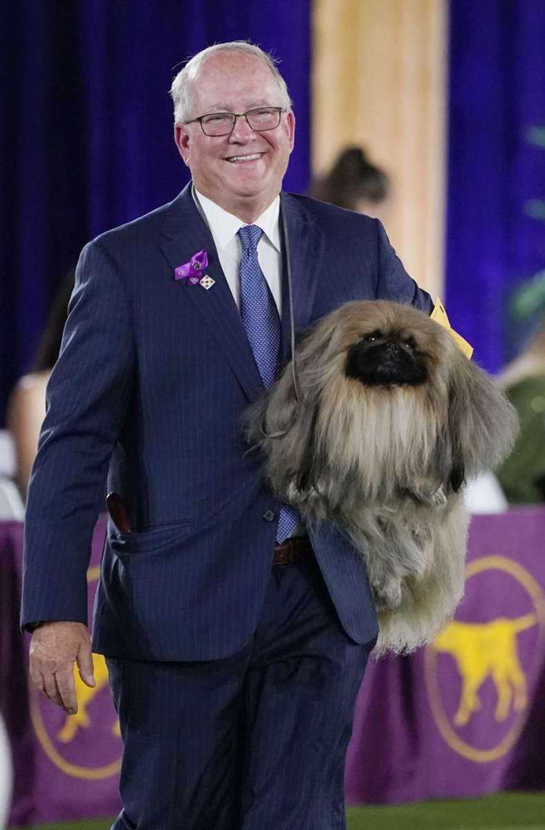 David Fitzpatrick, Besitzer und Hundeführer von Wasabi, ist stolz auf den Sieg seines Schützlings.