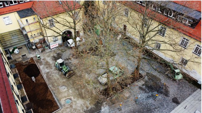 Mitten in Ludwigsburg: Ehrenhof wird zu grünem Aufenthaltsort