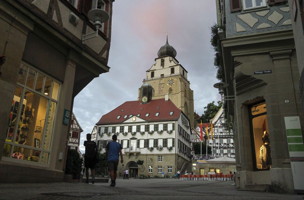 ... Wahrzeichen der ehemaligen Pfalzgrafenstadt ist die Stiftskirche mit ihrem barocken Zwiebelturm. Der Herrenberger Marktplatz mit seinem intakten Fachwerkensemble gilt als einer der schönsten Plätze Süddeutschlands. Mehr Infos im Netz