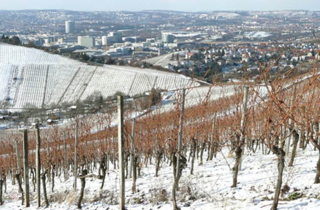 Idylle in den Stuttgarter Weinbergen - der Winter zeigt sich von seiner schönsten Seite.