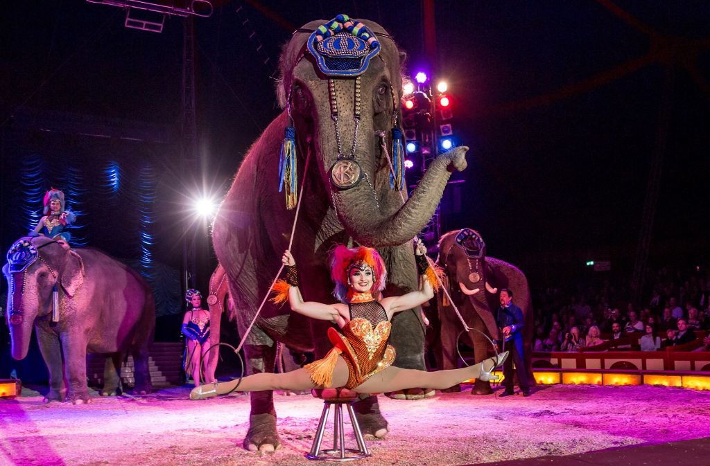 Die Elefanten-Show im Circus Krone