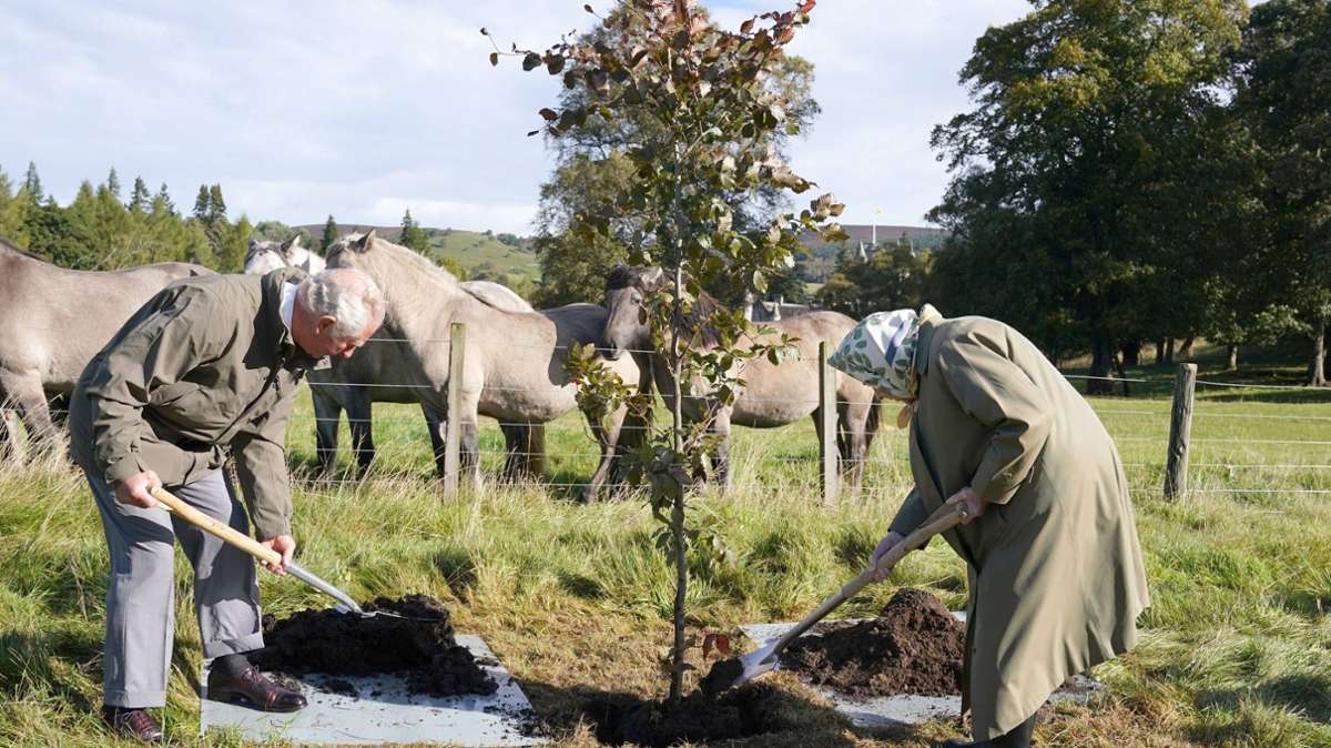 Ein echter Naturliebhaber: König Charles III., damals noch Prinz Charles, und Queen Elizabeth pflanzen gemeinsam Bäume auf Balmoral.