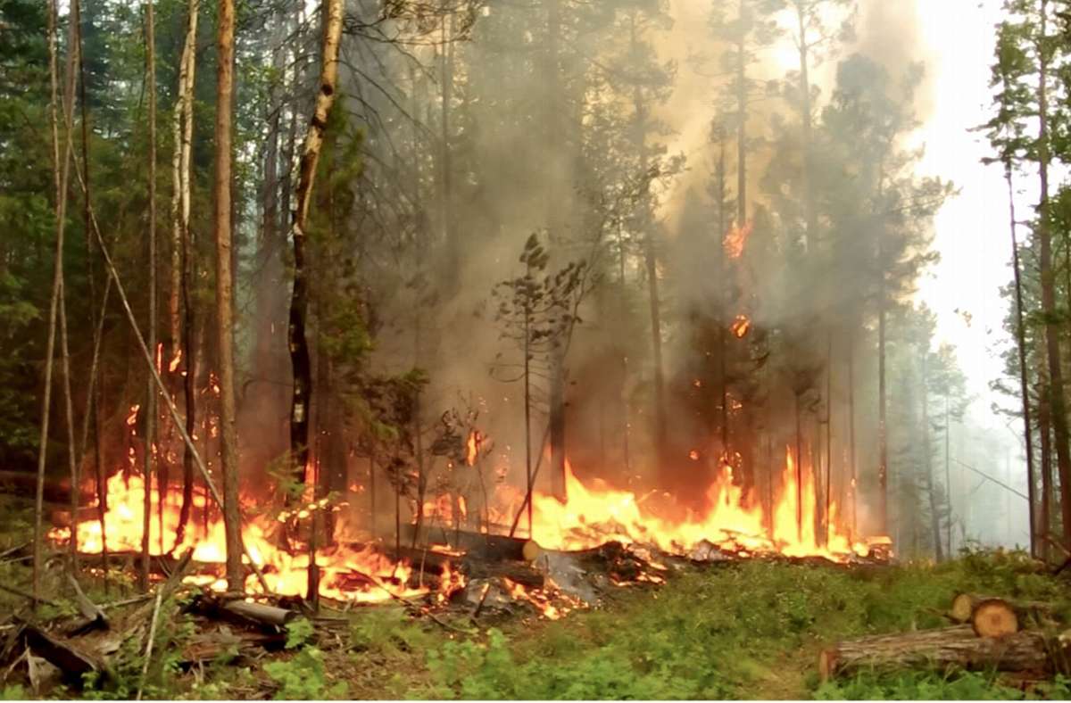 WÄLDER: In der arktischen Tundra und in den Wäldern im Norden waren Waldbrände früher ungewöhnlich. Von 1996 bis 2015 hat sich die durch Brände zerstörte Fläche in Sibirien aber verneunfacht (Bild: Waldbrand in der russischen Republik Sacha).