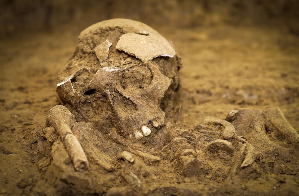 Bei Aushubarbeiten für ein Schulgebäude  sind drei menschliche Skelette entdeckt worden. (Symbolbild) Foto: factum/Simon Granville
