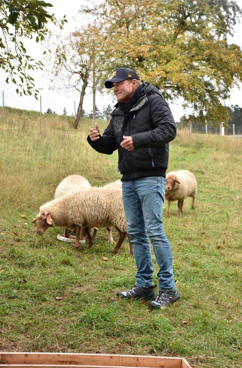 Auf der Schafswiese fühlt sich Dieter Bohlen besonders wohl.