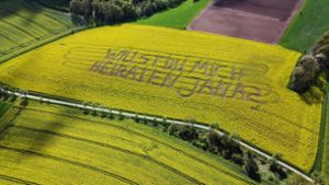 Rauschenberg: Landwirt überrascht Partnerin mit Heiratsantrag im blühenden Feld