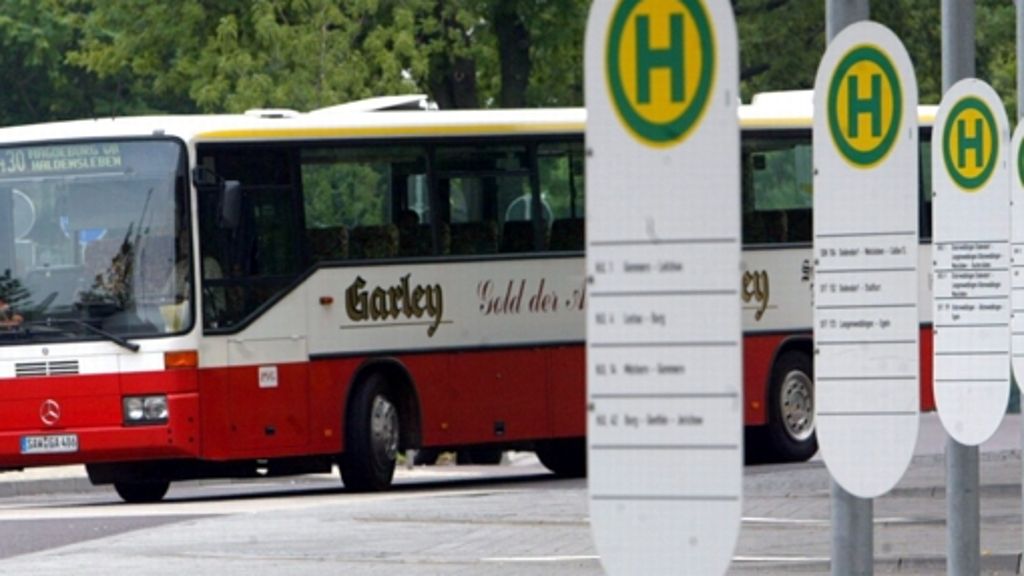 Fünf Fahrer aus Mühlhausen sind vom Verband baden-württembergischer Omnibusunternehmer ausgezeichnet worden.