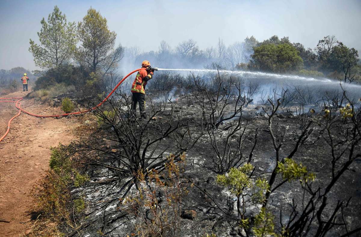 Rund 900 Feuerwehrleute kämpfen gegen den Waldbrand ...