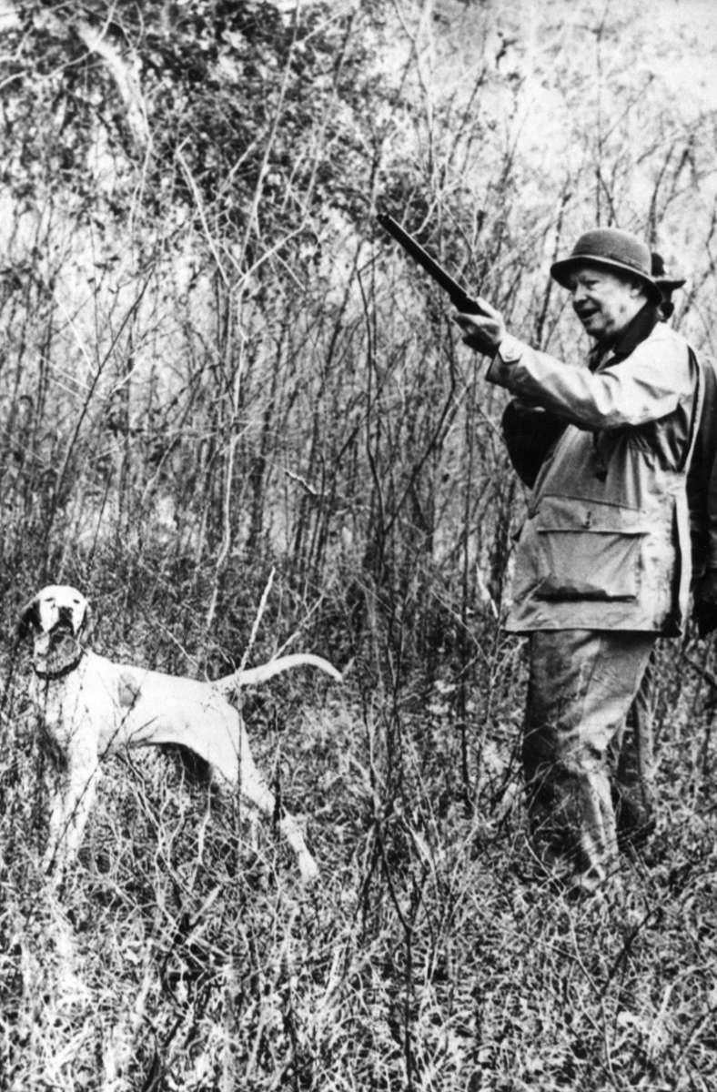 Dwight D. Eisenhower mochte Jagdhunde. Seine Weimaraner-Hündin Heidi musste Washington allerdings verlassen und auf Eisenhowers Farm leben, weil sie ihr Geschäft auf einen wertvollen Teppich im Weißen Haus gemacht haben soll.