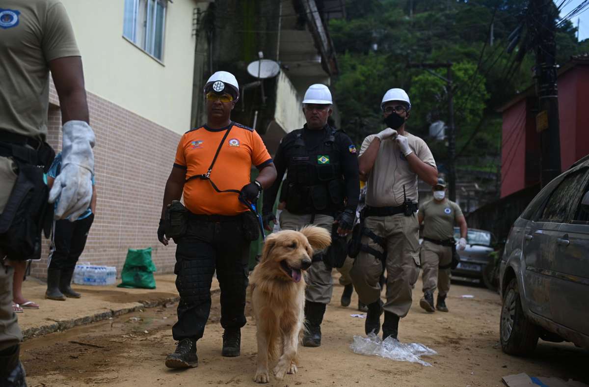 Rettungskräfte und Suchhunde sind im Einsatz.