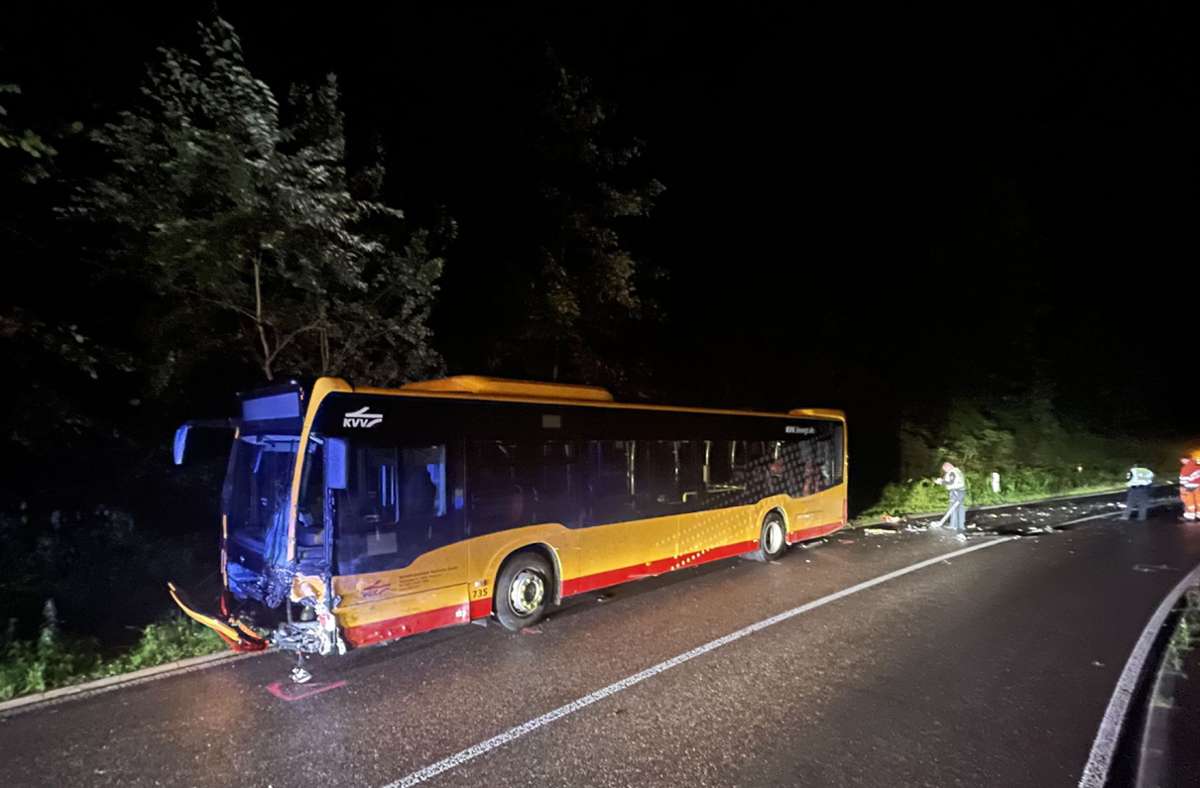 Auch der Busfahrer wurde schwer verletzt.