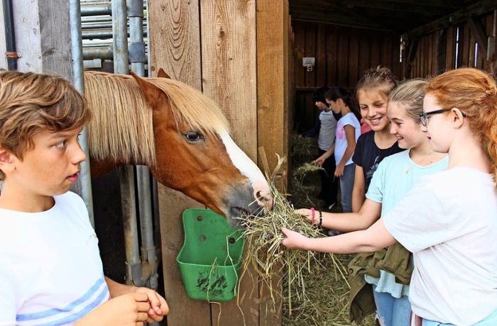 Projektausflug nach Nellingen: Degerlocher Kinder besuchen glückliche Pferde