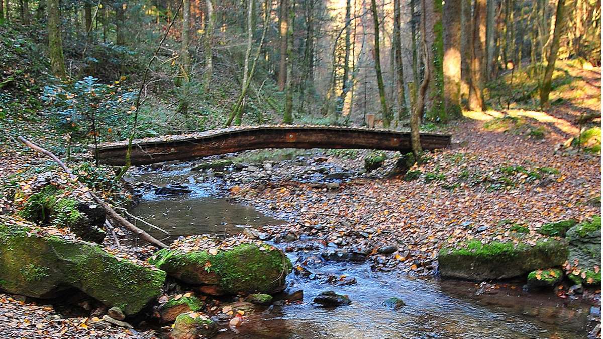  Der Trauzenbach ist ein gerade mal acht Kilometer langer Bachlauf, der in Murrhardt in die Murr fließt. Doch die Wanderung durch das wildromantische Trauzenbachtal lohnt sich. 