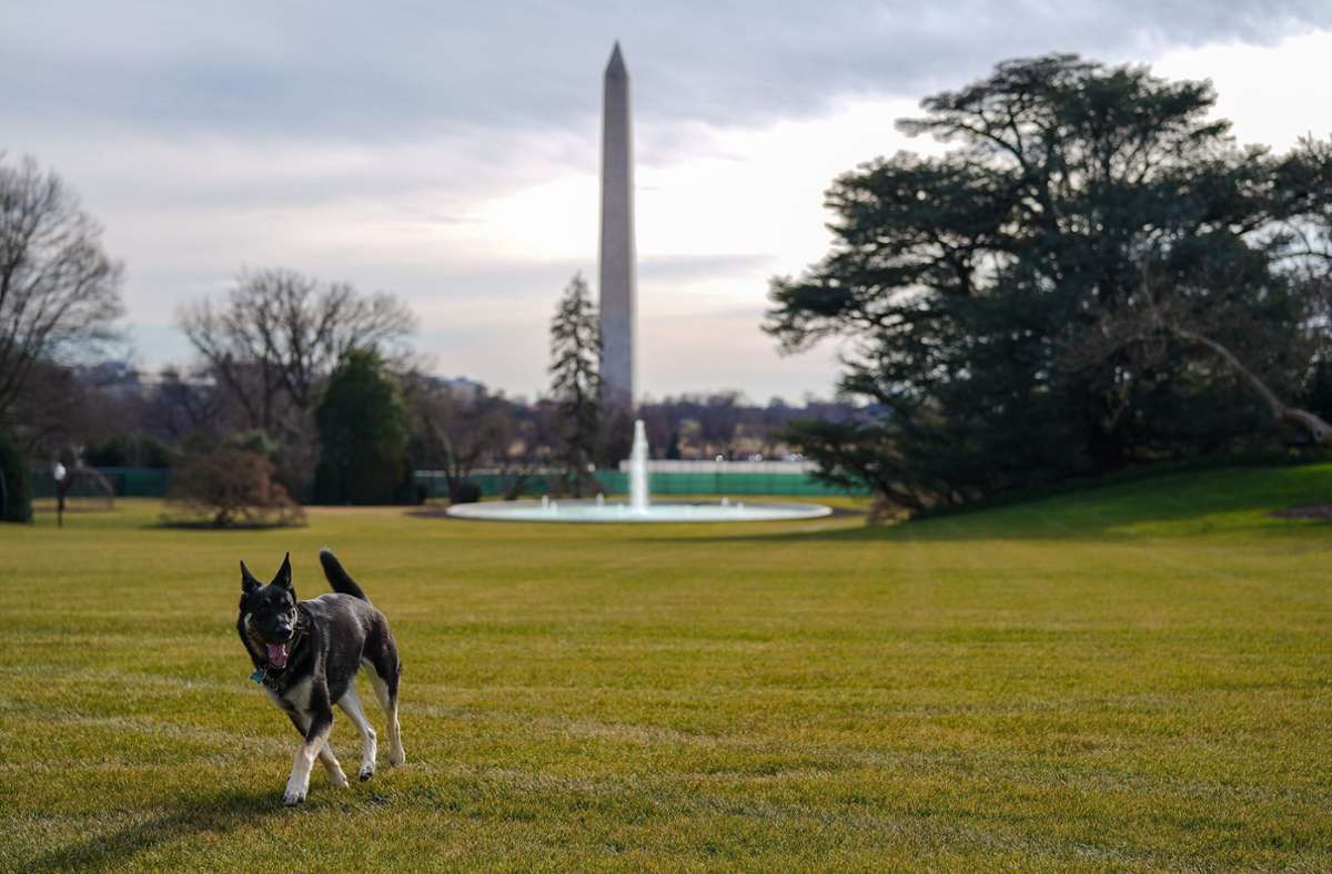 Der Jungspund genießt seine Ausflüge durch die weitläufigen Gartenanlagen des Weißen Hauses.
