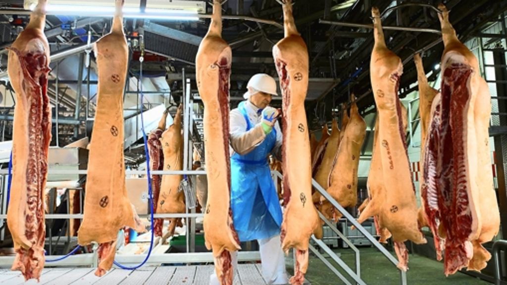 Fleischindustrie: Schlachtbranche beugt sich  wachsendem Druck