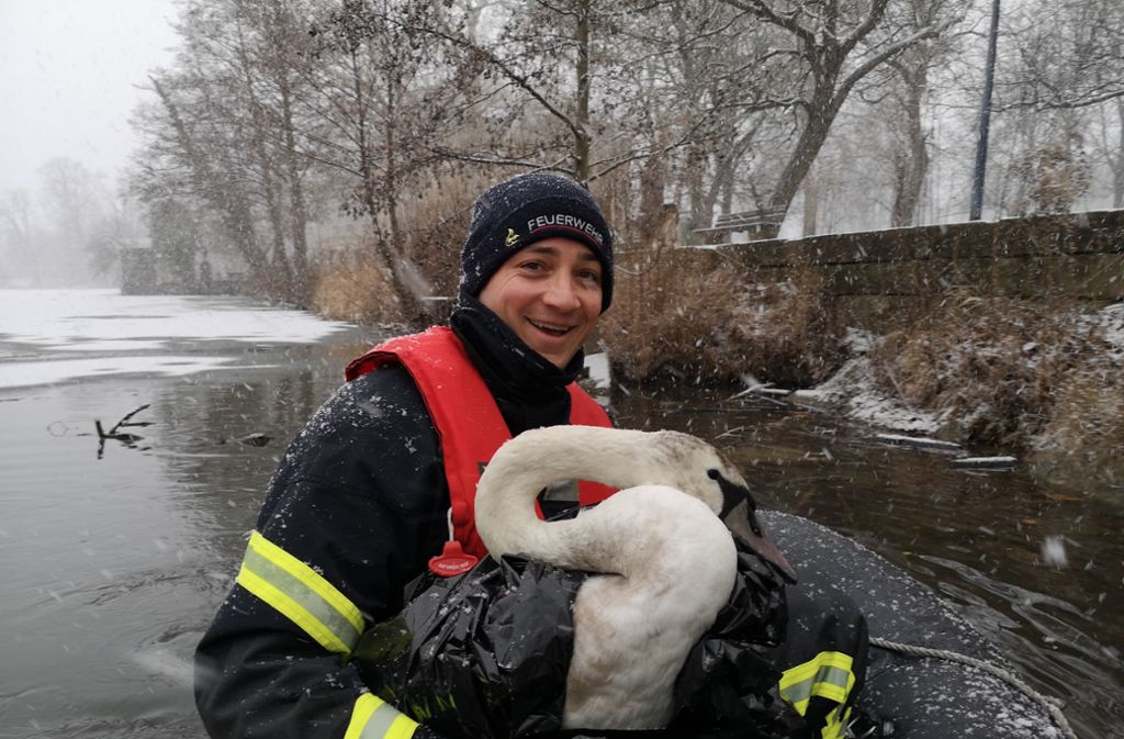 2. Februar: Feuerwehrleute befreien einen festgefrorenen Schwan aus dem Monrepos-See. Die Geschichte nimmt für das Tier kein glückliches Ende, es muss einige Tage später eingeschläfert werden.