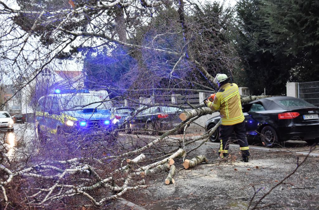 In Nürtingen wurden mehrere Autos durch umstürzende Bäume beschädigt