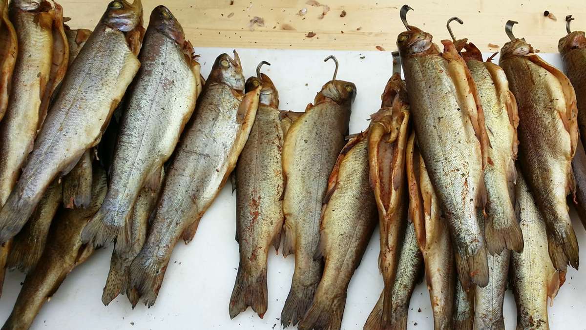 Fischereiverein Weil im Schönbuch: Am 1. Advent gibt’s wieder geräucherte Forellen