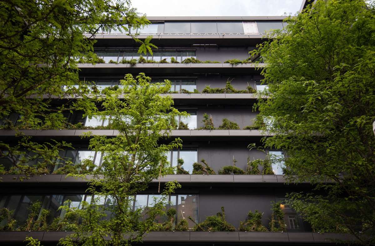 Fassadenbegrünung wie an der Calwer  Passage in Stuttgart ist eine effektive Maßnahme, um Gebäude vor Überhitzung zu schützen. Foto: Lichtgut//Leif Piechowski