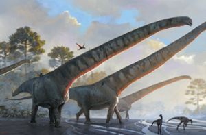Dinosaurier mit 15 Meter langem Hals gefunden